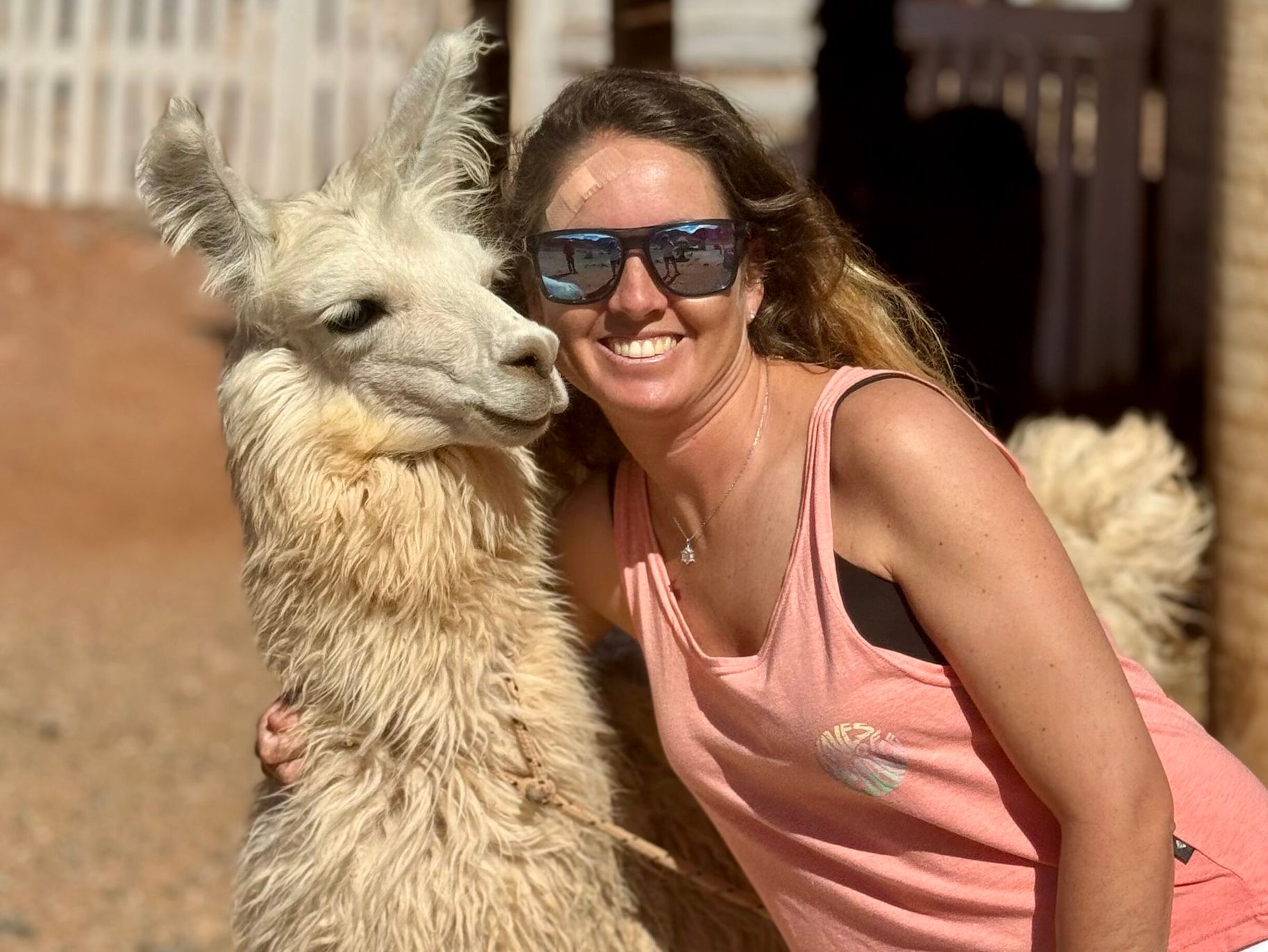 Voyageuse avec un lama en Argentine